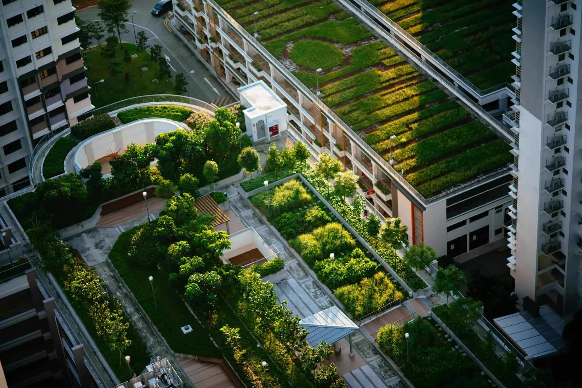 Dachgarten Begrünung Köln – Brüder Berisha Garten- und Landschaftsbau