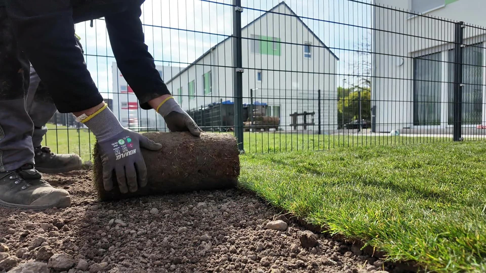 Rollrasen Nahaufnahme Duisburg – Gartenbau Brüder Berisha Landschaftsbau