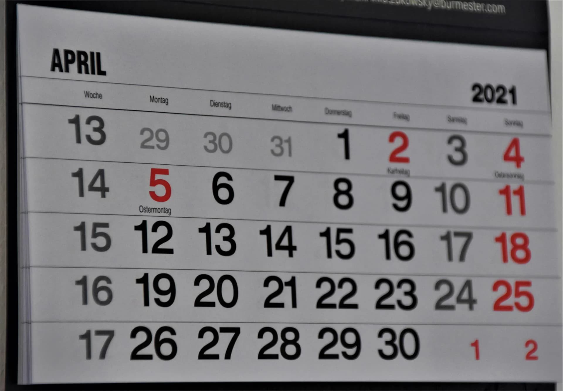 Gartenkalender Gartenpflege Jahresplan Bonn Köln Sankt Augustin – Brüder Berisha Garten- und Landschaftsbau NRW