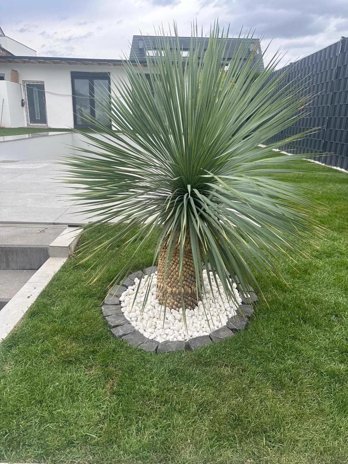 Gartengestaltung – Brüder Berisha
